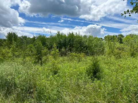 226 S 3rd St # -1, Cardington, OH 43315