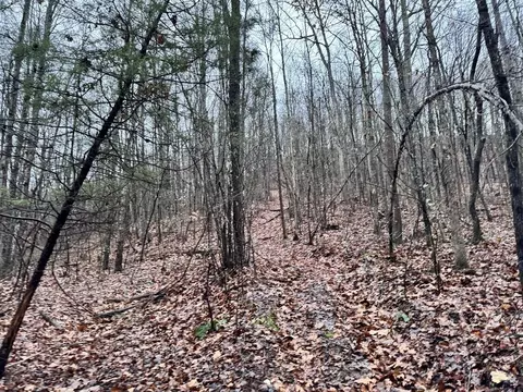 962 Arion Rd, Mcdermott, OH 45652 photo 5