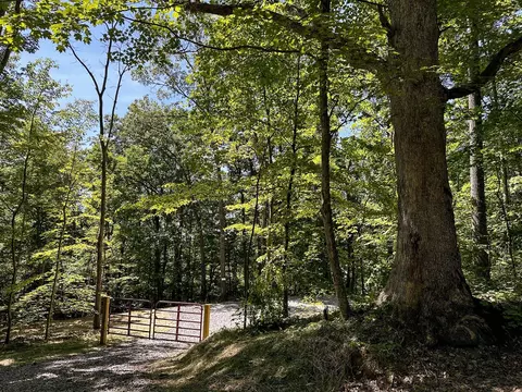 736 Hull Road Apt Rd #(TRACT 15 WOODS WAYNE FOREST, Patriot, OH 45658