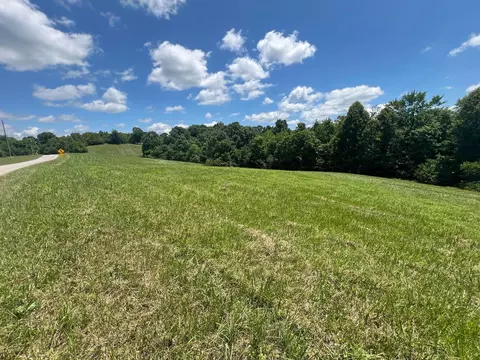 9951 Dozer Ridge Rd, Blue Rock, OH 43720