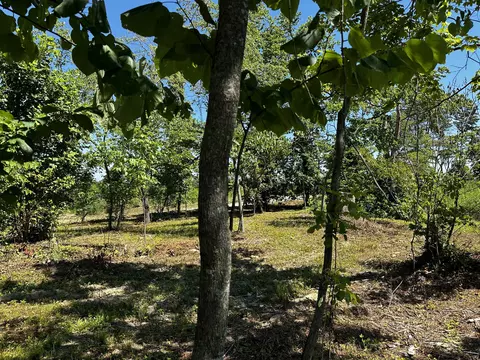 34598 Huston Road Apt Rd #(TRACT 5 AT HUSTON HILLS), Radcliff, OH 45695