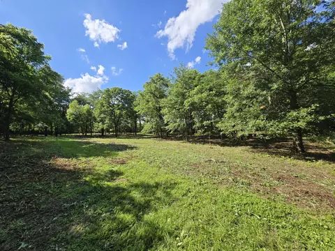 0 Burnt Pond Rd #TRACK 6, Ostrander, OH 43061
