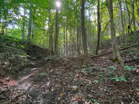 0 Mt Olive Rd #S, Mcarthur, OH 45651