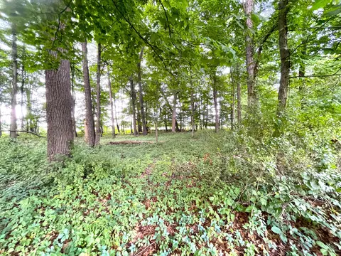 3930 Mccament Rd, Walhonding, OH 43843 photo 35
