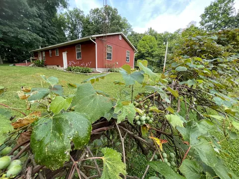 3930 Mccament Rd, Walhonding, OH 43843 photo 24