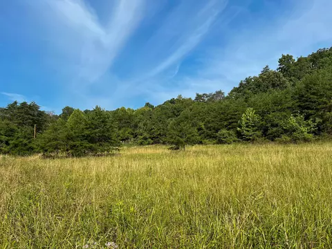 0 Little Forest Run Rd, Reedsville, OH 45772