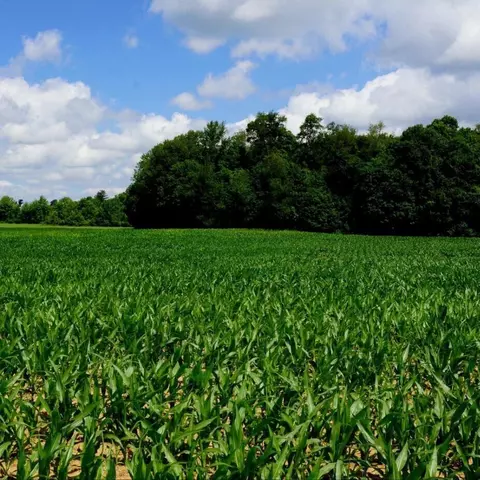 0 Bender Ave #PARCEL 1, Galion, OH 44833