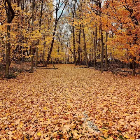 0 Knorr Rd #PARCEL 2, Galion, OH 44833