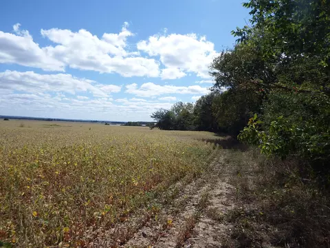 Other - 23604 Smith Hulse Rd, Circleville, OH 43113 photo 25 of 31