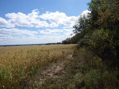 Other - 23604 Smith Hulse Rd, Circleville, OH 43113 photo 29 of 31