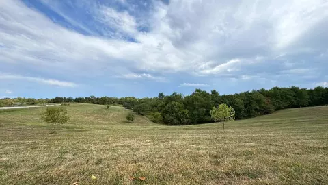 3135 Thomas Rd, Chesterhill, OH 43728