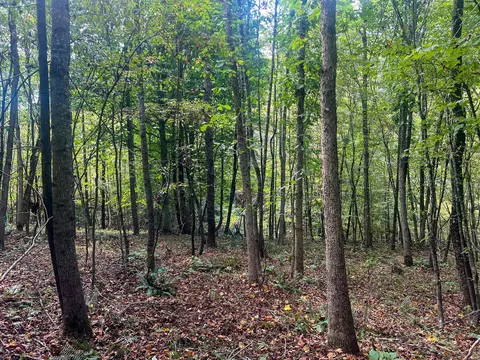 3 Mount Carmel Road, Vinton, OH 45686