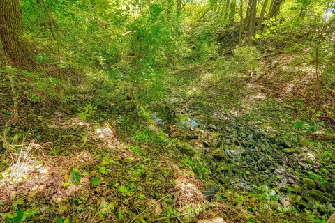 21582 Winstead Rd, Circleville, OH 43113 photo 5