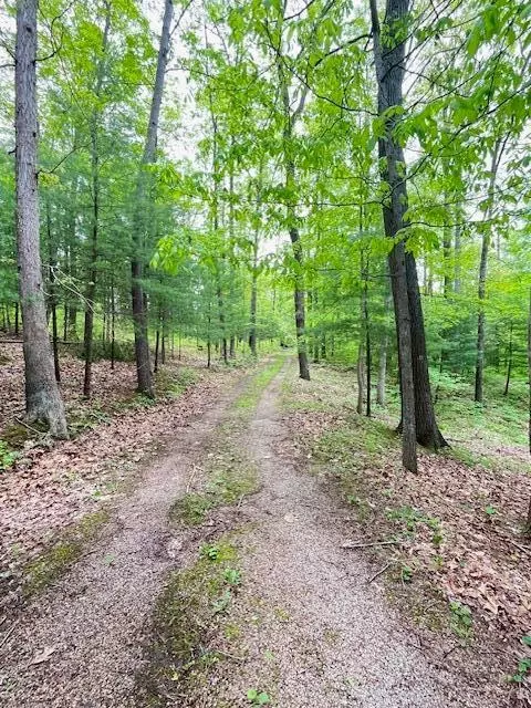 73350 Brooks Martin Rd, Mcarthur, OH 45651 photo 40