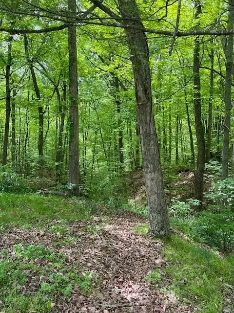73350 Brooks Martin Rd, Mcarthur, OH 45651 photo 39