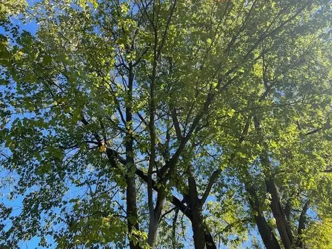 0 E Pawnee Dr, Powell, OH 43065 photo 6