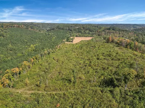 0 Brohard Rd, Ray, OH 45672 photo 11
