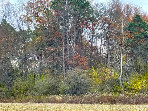 19541 Coleman Brake Road Rd, Marysville, OH 43040
