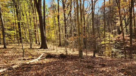 0 Brady Road Apt Rd #(TRACT 5 BRADY RD), Nelsonville, OH 45764