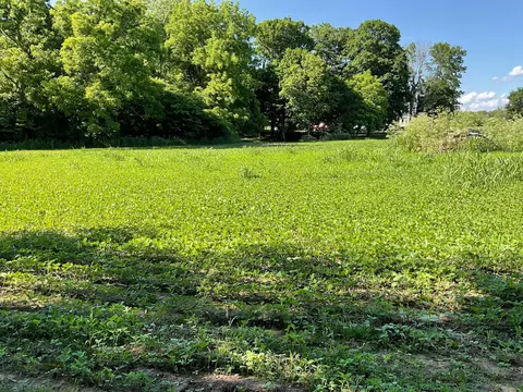 0 Walker Rd, Ashville, OH 43103