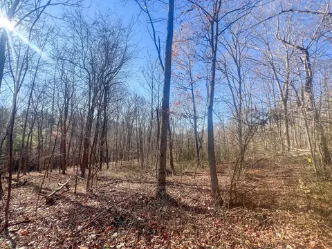 601 Fairgreens Rd, Jackson, OH 45640 photo 15