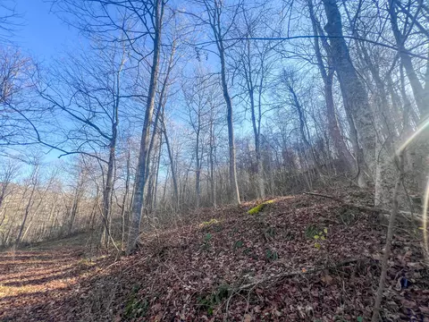 601 Fairgreens Rd, Jackson, OH 45640 photo 11