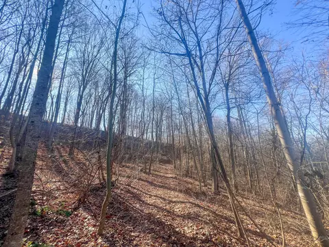 601 Fairgreens Rd, Jackson, OH 45640 photo 6