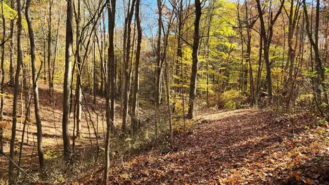 0 Brady Road Apt Rd #(TRACT 6 BRADY RD), Nelsonville, OH 45764