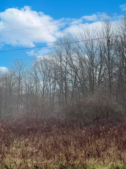 7326 St Rt 19 #LOT 146, Mount Gilead, OH 43338