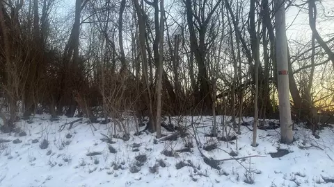 1957 Blue Jay Rd, Heath, OH 43056