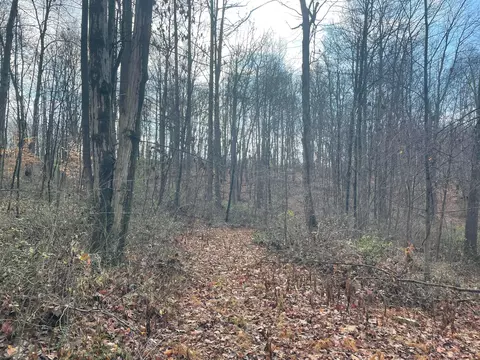 8400 Euga Rd, Newcomerstown, OH 43832 photo 4