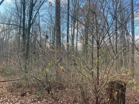 8400 Euga Rd, Newcomerstown, OH 43832 photo 6