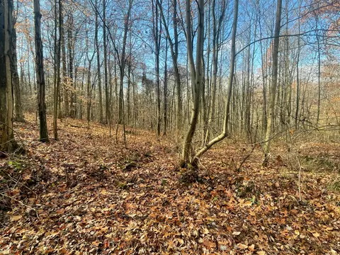 8400 Euga Rd, Newcomerstown, OH 43832 photo 3