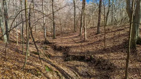 1031 Blacks Rd SE, Hebron, OH 43025 photo 6