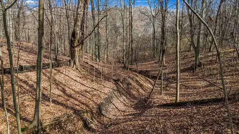 1031 Blacks Rd SE, Hebron, OH 43025 photo 5