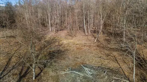 1031 Blacks Rd SE, Hebron, OH 43025 photo 3