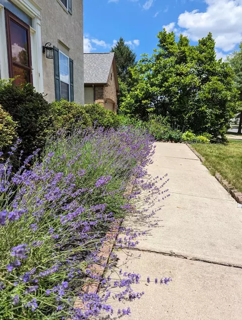 Other - 8041 Townsend Rd, Dublin, OH 43016 photo 1 of 11