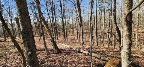 0 Edmunson Road Apt Rd #(TRACT 6 AT BIG TIMBER), Vinton, OH 45686