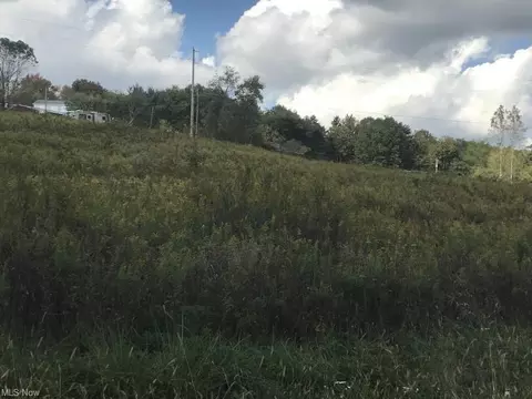 0 New Riley Rd, Dresden, OH 43821