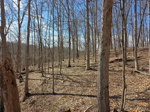 0 Edmunson Road Apt Rd #(TRACT 5 AT BIG TIMBER), Vinton, OH 45686