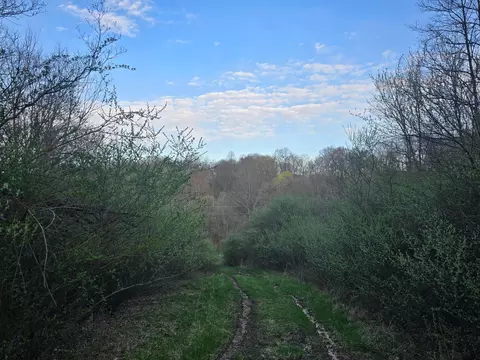 0 Township Rd 375, Warsaw, OH 43844