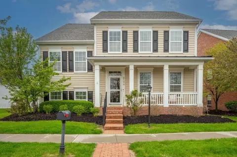 8194 Griswold Dr, New Albany, OH 43054
