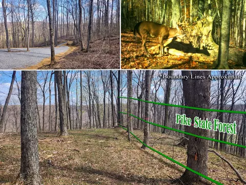 0 Pike Lake Rd Road Apt Rd #(TRACT 4 PIKE LAKE GETAWAY), Bainbridge, OH 45612