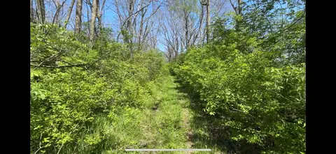 8154 Crowl Rd, Degraff, OH 43318 photo 4