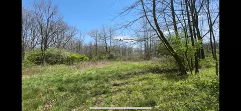 8154 Crowl Rd, Degraff, OH 43318 photo 19