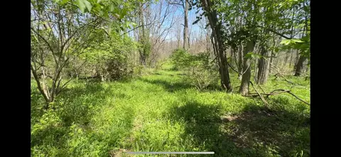 8154 Crowl Rd, Degraff, OH 43318 photo 10