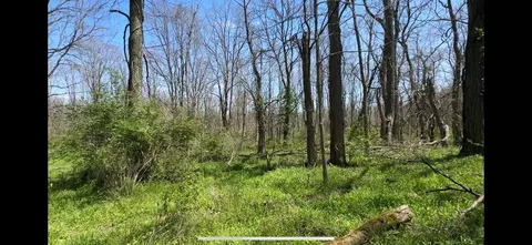 8154 Crowl Rd, Degraff, OH 43318 photo 12