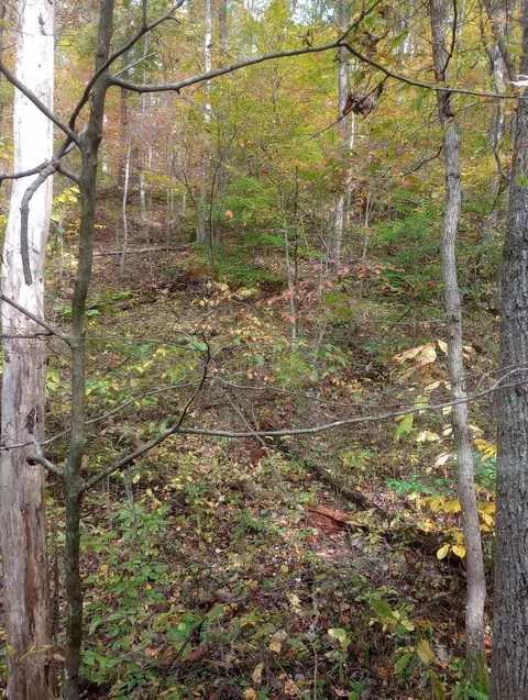 0 Erwin Hollow Rd, Jackson, OH 45640 photo 5