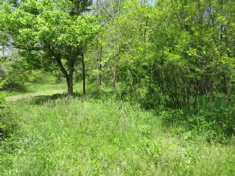 Other - 6800 Center Rd, Philo, OH 43771 photo 11 of 11