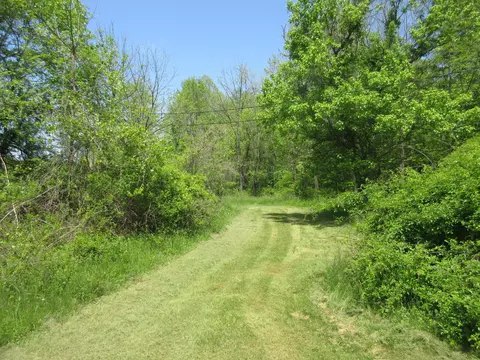 Exterior - 6800 Center Rd, Philo, OH 43771 photo 7 of 10